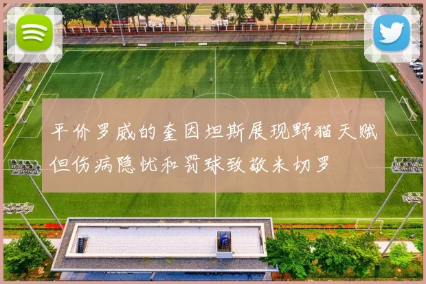 平价罗威的奎因坦斯展现野猫天赋但伤病隐忧和罚球致敬米切罗